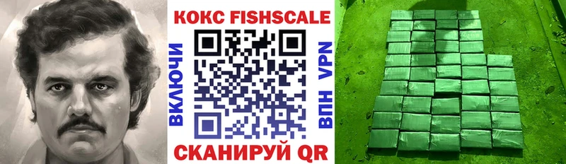 Cocaine FishScale  наркота  Брянск 