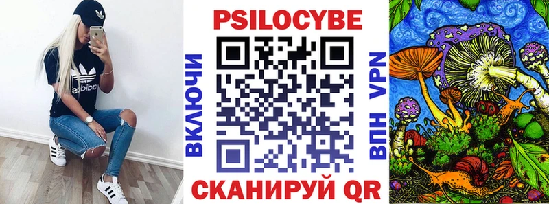 цена   Брянск  Псилоцибиновые грибы мицелий 